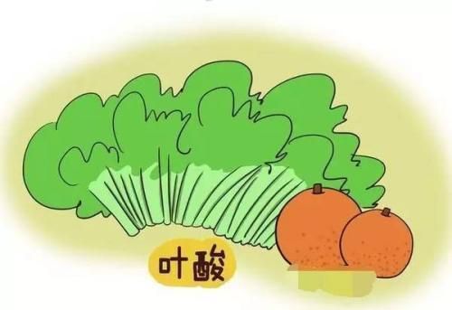 懷孕前3個(gè)月(yuè)，需要(yào)口服葉酸！